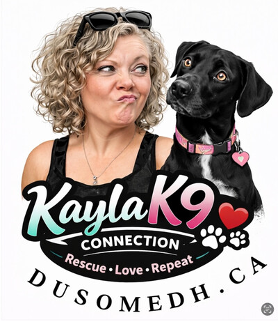KaylaK9Connection| Community Initiative | Support
