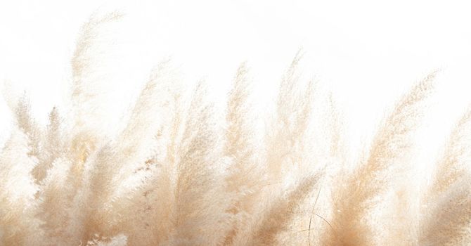 What's Going On When Your Hips Are Making Noise?