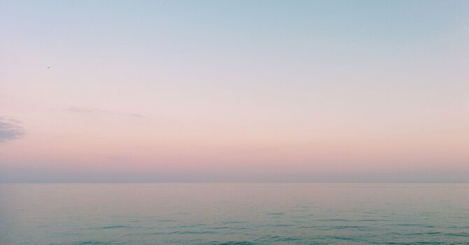 Essential Vitamins for Strong, Healthy Teeth  image